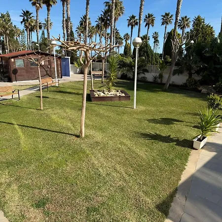 F4 - Mondrian World, Sofisticado - Servhouse El Borseral